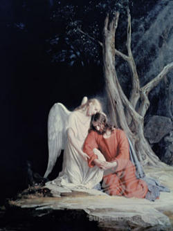 Father, if you are willing, take this cup from me; yet not my will, but yours be done. Image of Father, if you are willing, take this cup from me; yet not my will, but yours be done.
