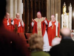 Image of My brother bishops, priests, religious women and men, seminarians, committed Catholics of this wonderful Church, I pledge to you my love, my life, my heart, and I can tell you already that I love you, I need so much your prayers and support, I am so honored, humbled, and happy to serve as your pastor.