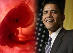 Image of Despite supporters' constant claim that this agenda involves only embryos that 'would otherwise be discarded,' the guidelines provide that the option of donating embryonic children for destructive research. 