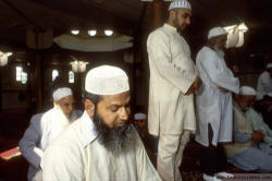 Image of (Pictured: Muslim men in Prayer in an Amsterdam Mosque) 'When I arrived here, during the 1960's, religion was dying, a unique event in Europe, a collective de-Christianization. Then the Muslims brought religion back to the center of social life. Aided by the anti-Christian elite'.