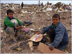Image of I ask you all to join me in praying for the afflicted peoples of that region. In a special way I ask that you remember the Palestinian people who have endured great hardship and suffering. May the Lord bless them and all those who live in the Holy Land with the gifts of unity and peace.