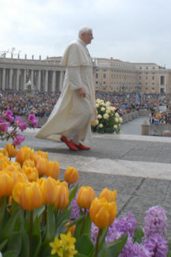 Image of 