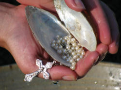 Image of We endure the river of life Gathering our treasured clams, and 'Counting Pearls From Our Problems.' One day we will hand all our pearls over to the crown of 'The King our Lord Jesus Christ.'