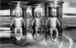 Image of Reports in the media have said that the breakthrough is step towards creating ova and sperm for IVF treatments without harvesting them directly from donors. This leads to the possibility of procedures to enable homosexuals to have children created from their own cells without the use of donated ova or sperm.