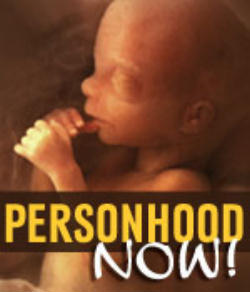 Image of Article I Section 8 of the Nevada constitution states, 'No person shall be deprived of life, liberty or property without due process of law'.