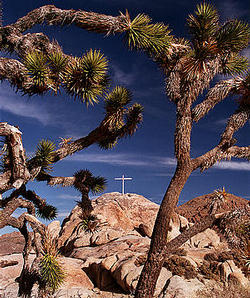 Image of A cross was erected atop Sunrise Rock in the Mojave National Preserve years ago to honor the war dead.