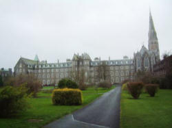 Image of (Pictured: St. Patricks where the Irish bishops gathered) 'Cardinal Seán Brady and Archbishop Diarmuid Martin have been called to the Vatican by the Holy Father, Pope Benedict XVI'.