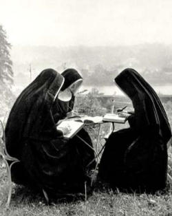 Image of 