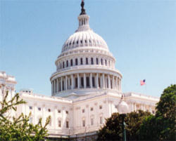 Image of The United States Senate.