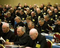 Image of U.S. Bishops.