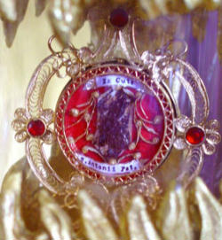 Image of Relic of St. Anthony of Padua