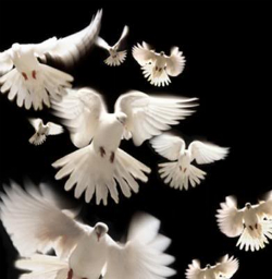 Image of A gift of the Holy Spirit to the Church.