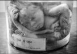 Image of Police discovered a gruesome display of 35 frozen unborn children preserved in jars.