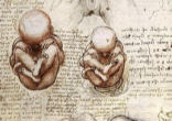 Image of The French Media referred to the child born through IVF - specifically to be used to cure a born child - as a 