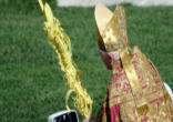 Image of The crowds gathered in St Peter's square on Passion/Palm Sunday with Pope Benedict XVI to enter into the Great and Holy Week