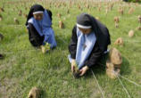 Image of The Pope simply reaffirmed the Catholic understanding of our relationship with the goods of the earth and our call to stewardship of the planet which has been given to us by the Creator as a gift. 