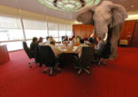 Image of The Elephant in the Room