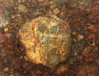 Image of Gold has previously been found in trace amounts in meteorites.