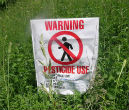 Image of Children may be exposed to pesticides in their everyday diet and activity.