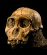 Image of Is this the skull of the grandmother of all humans? Scientists and people debate the claim.