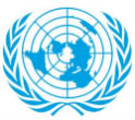 Image of The summit will be the UN's first on chronic diseases.