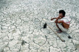 Image of Indian farmers are facing diminishing returns on their crops and have nowhere to turn for help.