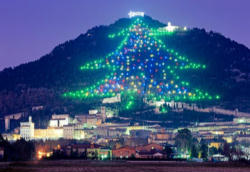 The largest Christmas tree in the world found at Gubbio, Italy