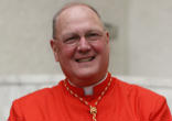 Image of Cardinal Timothy Dolan