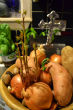 Image of Watching vegetables grow is a fun family activity that can turn into a rewarding project for all. 