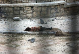 Image of The lifeless body of a girl remains on the street where nobody comes to retrieve her. 