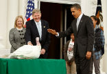 Image of Did one turkey pardon another? Obama pardoned two turkeys this Thanksgiving. 