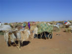 Image of Refugees live in makeshift camps such as these and are especially susceptible to mosquito borne illnesses. 