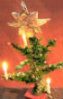 Image of Kent's Christmas tree, which he hid from the Nazis and has faithfully lit for the past 58 years. 