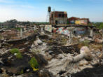 Image of The ruins of a Detroit factory. 