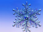 Image of This mature snowflake passed through several cycles of refreezing, giving it its complex pattern. 