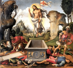 Image of 
