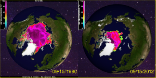 Image of An image from Cryosphere Today show the extent of the Arctic ice loss over the years. The summer ice is much less, exposing more sea water to extreme warming. 