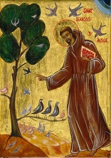 Image of The simple approach of Francis of Assisi, receiving creation as a gift and living in a relational way with creatio, still challenges me all these years later.  