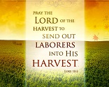 Image of The resources needed for this harvest have already been prepared by the Holy Spirit. With the eyes of living faith we can see them being assembled