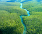 Image of As little as 2,000 years ago, the parts of the Amazon rainforest might have actually been savannah, new evidence suggests.