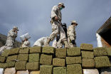 Image of Mexican soldiers with hundreds of bricks of marijuana, which is about to be burned.