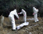 Image of More than 1,000 people have died in this Ebola epidemic that has been going on since early 2014.