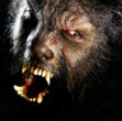 Image of According to Argentinian folklore, the seventh son born to a family is cursed to become a werewolf.