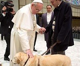 Image of Pope Francis pets a dog