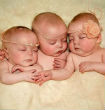 Image of Boe, Mika and Hope love to cuddle. (Magic Moments SWNS.com)