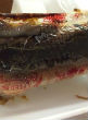 Image of A burned burrito, covered in the melted plastic from its wrapper, was served to kids at Philippi Middle School in West Virginia.