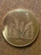 Image of A five denar piece featuring a picture of seven wheat stalks, representing the 