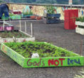 Image of A garden plot on the Metro Atlanta Task Force shelter roof.