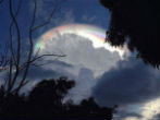 Image of Beautiful display of cloud iridescence.