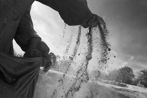 The meaning of the agrarian parables that Jesus used has become increasingly clear as I watch those fields become green every Spring. Of course, preceding all of this, there were barren looking fields, seemingly lifeless, that is before the seed was sown. Preparing the ground for the seed involves hard work, cooperative weather and the goodness of the God who created this beautiful and fruitful world.